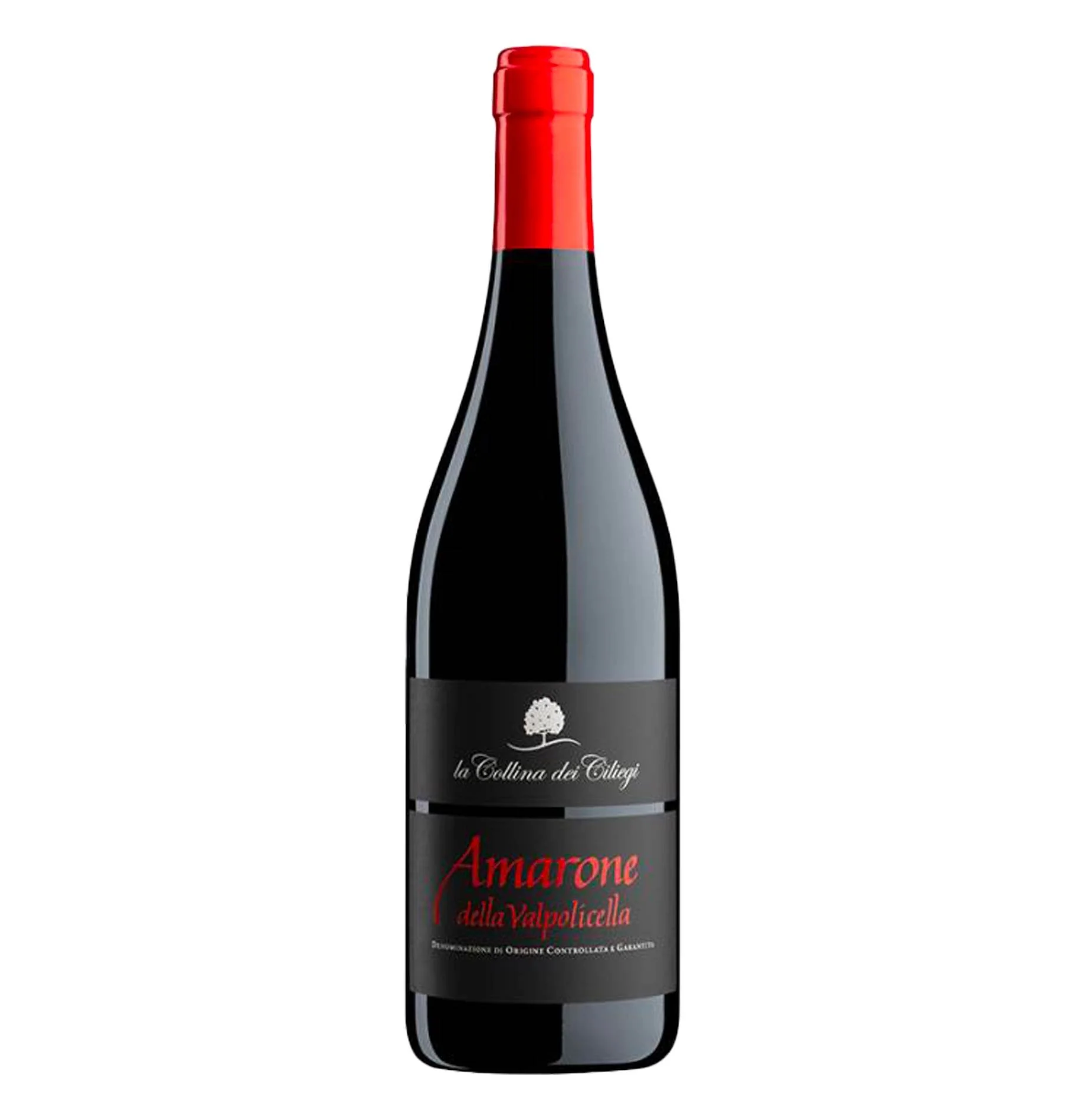 Amarone della Valpolicella DOCG 2020 - La Collina dei Ciliegi
