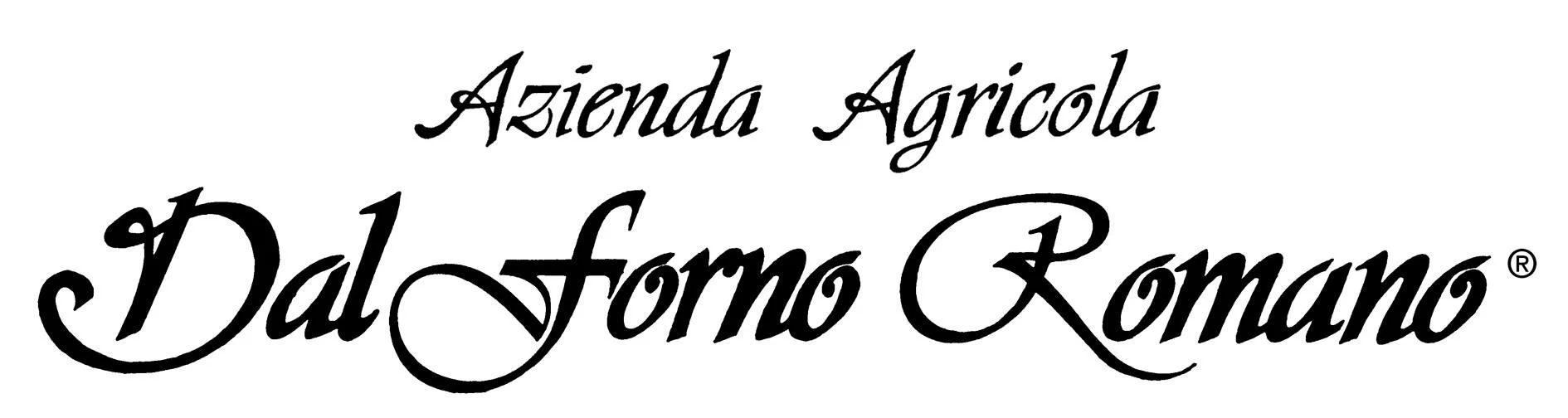 Amarone della Valpolicella Classico DOCG "Monte Lodoletta" 2017 - Dal Forno Romano - Image 2
