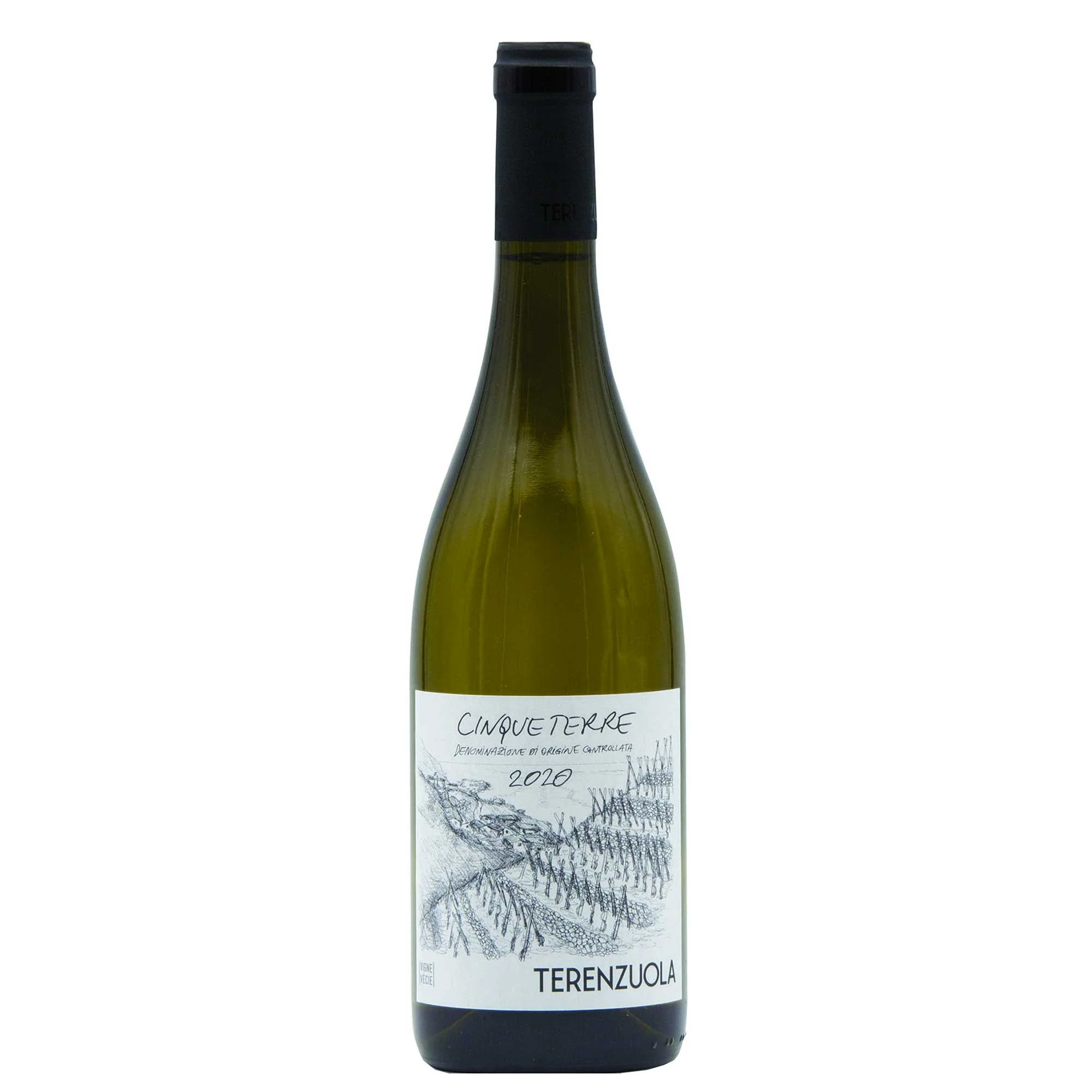Cinque Terre Bianco DOC 2024 - Terenzuola
