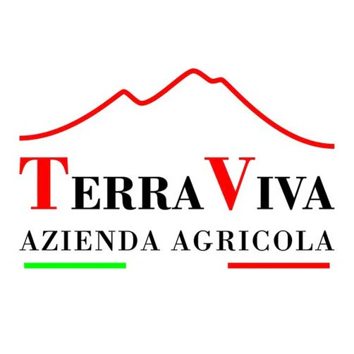 Montepulciano d’Abruzzo DOC 2022 - Terraviva - Image 2