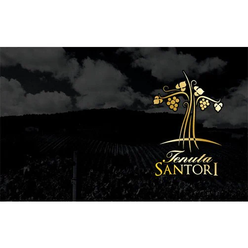 Offida Pecorino DOCG 2024 - Tenuta Santori - Image 2