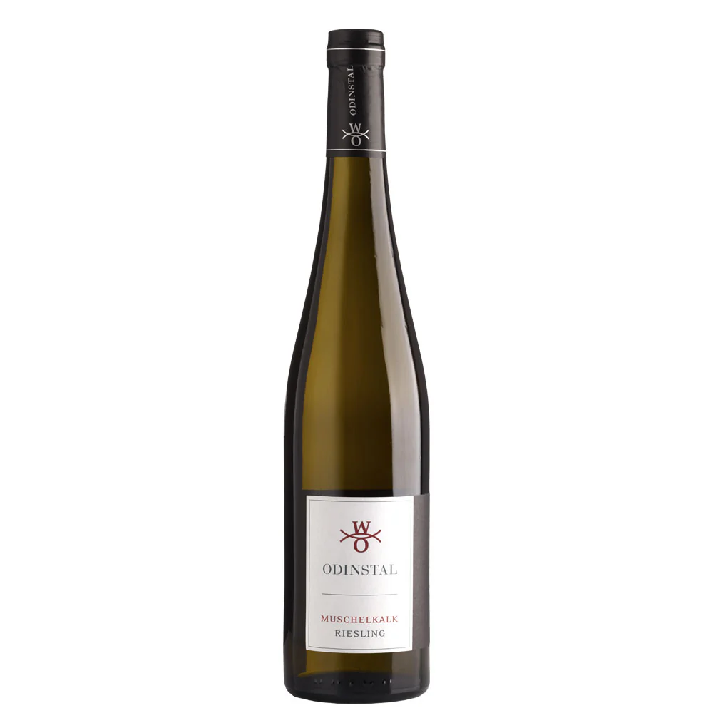 Riesling "Muschelkalk" 2021 -  Weingut Odinstal