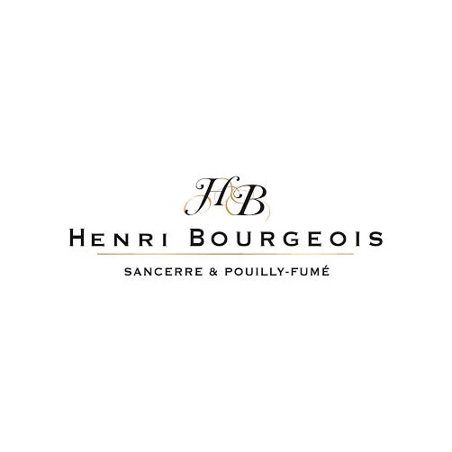 Sauvignon Blanc “Petit Bourgeois” 2024 - Henri Bourgeois (tappo a vite) - Image 2