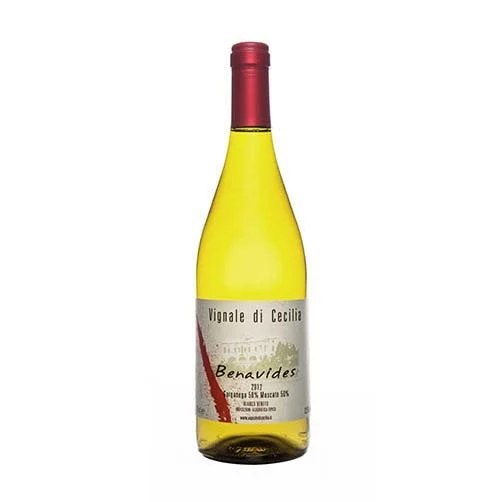 Veneto Bianco IGT "Benavides" 2023 - Vignale di Cecilia