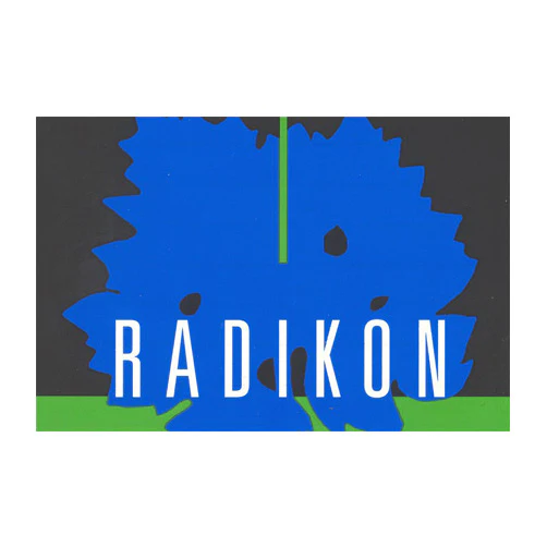 Venezia Giulia Ribolla Gialla IGT 2019 - Radikon (1l) - Image 3