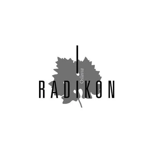 Venezia Giulia Rosso IGT "Pignoli" 2004 - Radikon (0.5l) - Image 2